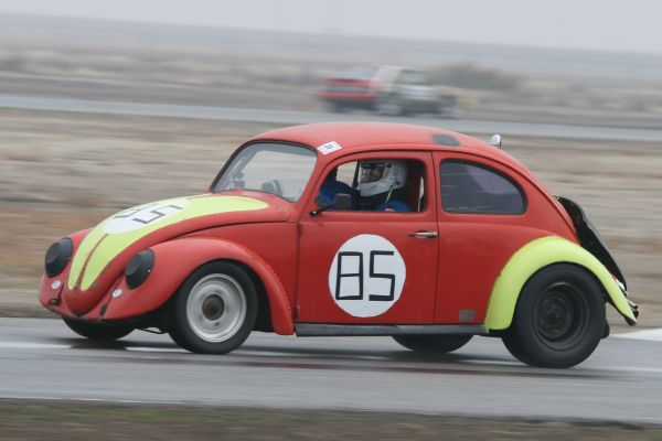 turbobeetle-11