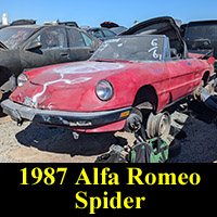 Junkyard 1987 Alfa Romeo Spider