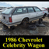 Junkyard 1986 Chevrolet Celebrity